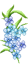 a blue flower