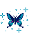 a butterfly