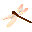 a dragoinfly
