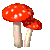 a mushroom