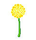 a yellow flower